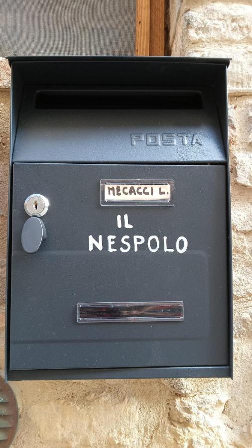 Appartamento Il Nespolo 산지미냐노 외부 사진